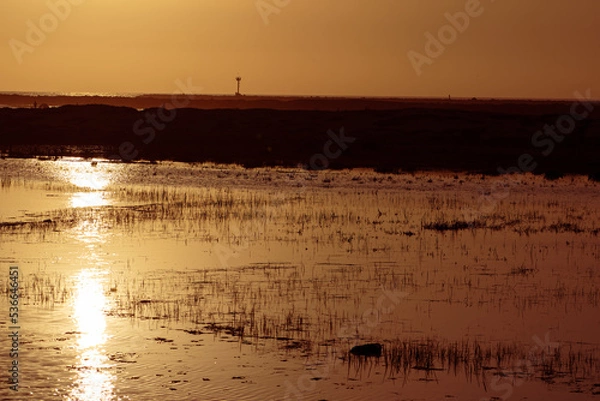 Fototapeta A sunset reflection along the water 