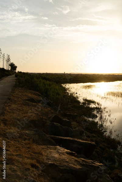 Fototapeta A sunset over the water in Ocean Beach