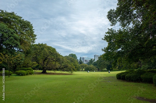 Fototapeta 新宿御苑
