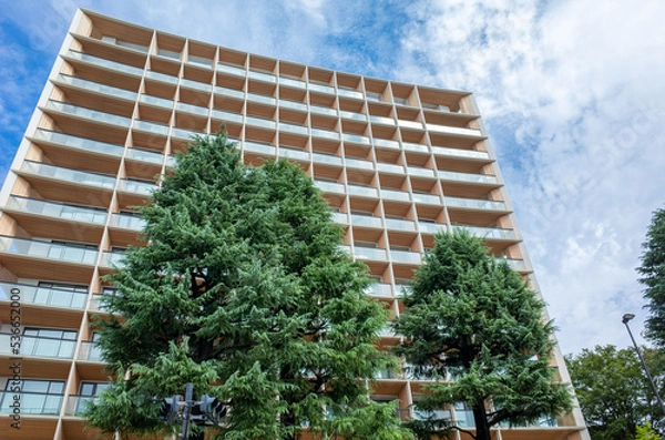 Fototapeta 木造の超高層ビル