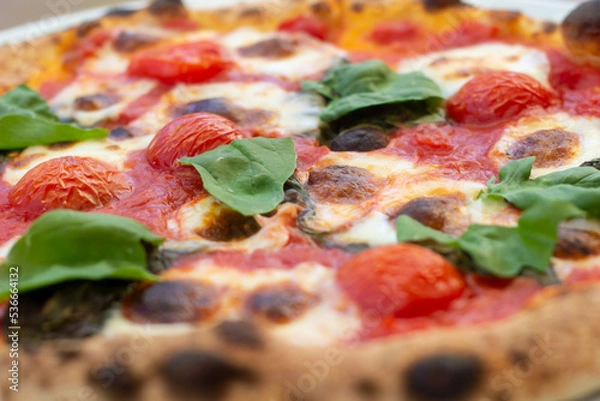 Obraz pizza with salami