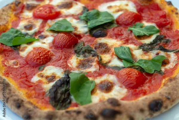 Obraz pizza with salami