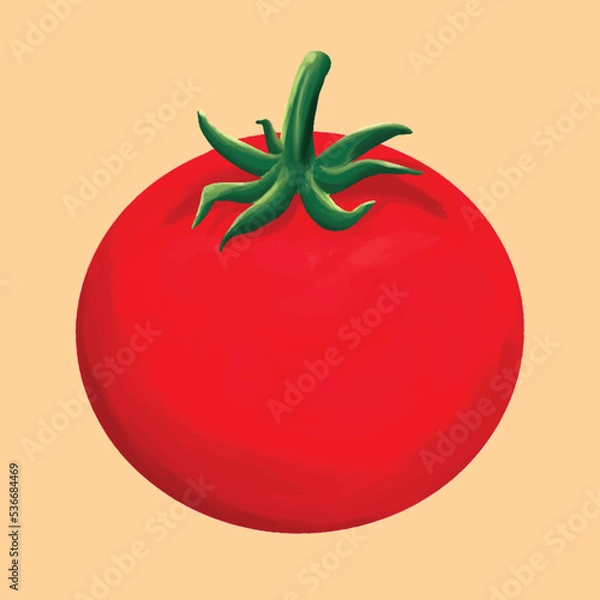 Obraz Hand drawn fresh tomato sketch vector