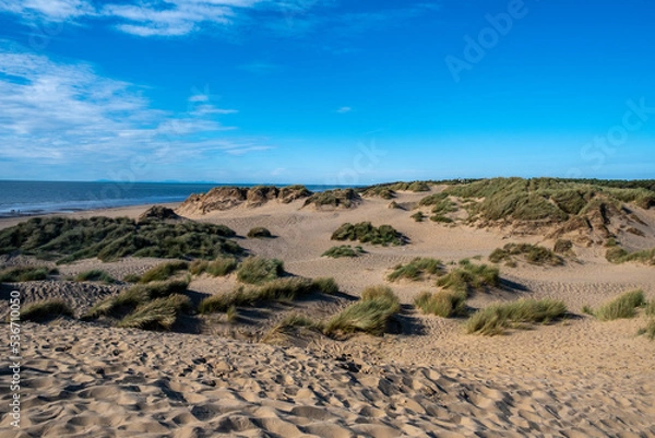 Obraz sand dunes in the beach