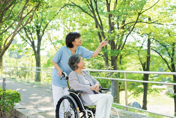 Obraz シニア女性の車椅子を押す女性医療従事者