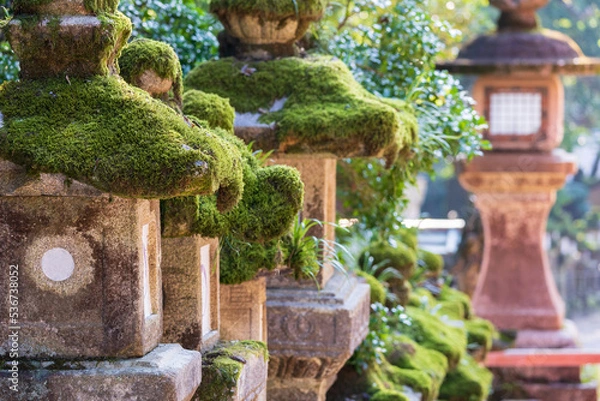 Fototapeta 奈良の風景