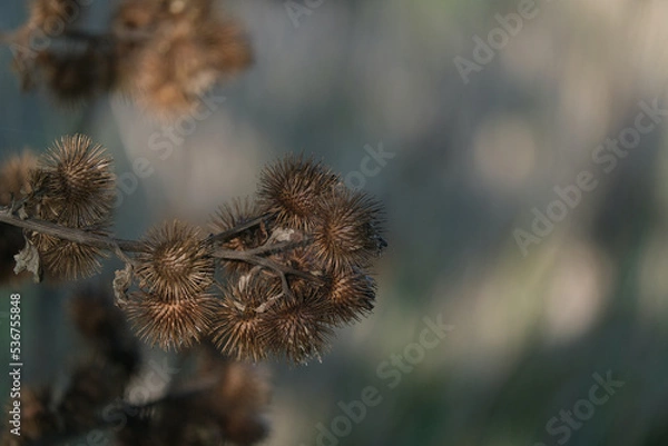 Obraz Kletten im Herbst