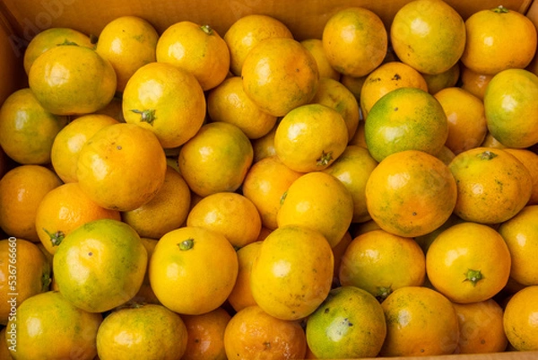 Obraz sweet and sour fruit tangerine