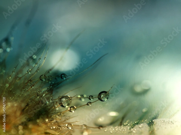 Fototapeta Water drops