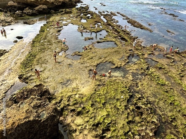 Obraz moss on the rocks