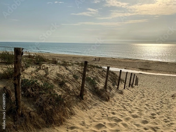 Obraz beach at sunset