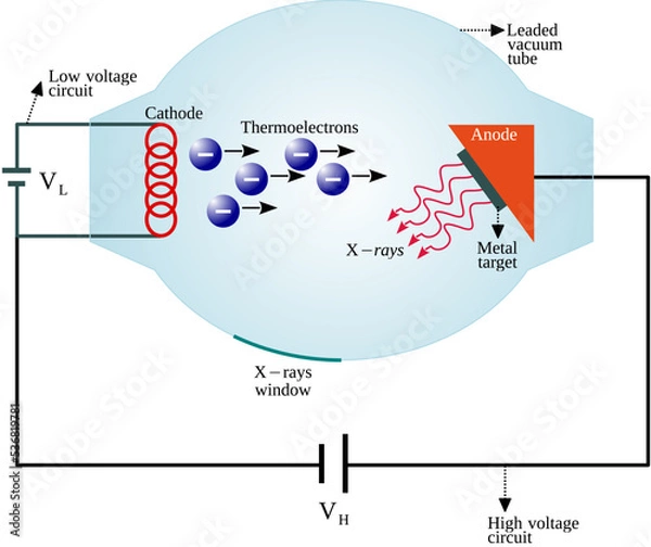 Obraz An x-ray tube is a transducer that convert electrical energy into two other forms: x-radiation and heat
