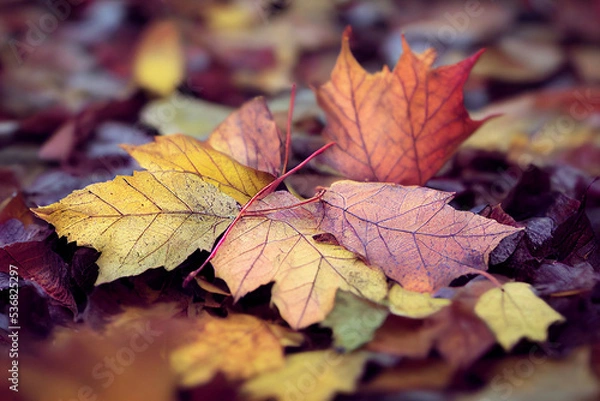 Fototapeta 
Autumn Texture Closeup of 
Fall Leaves, Beautiful Group of  Organic Colorful Bold natural scene on the ground, Nature Photo, lo fi and soft focus , Short Depth of Field