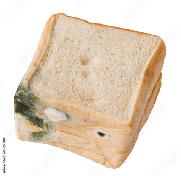 Obraz Moldy bread. Isolated
