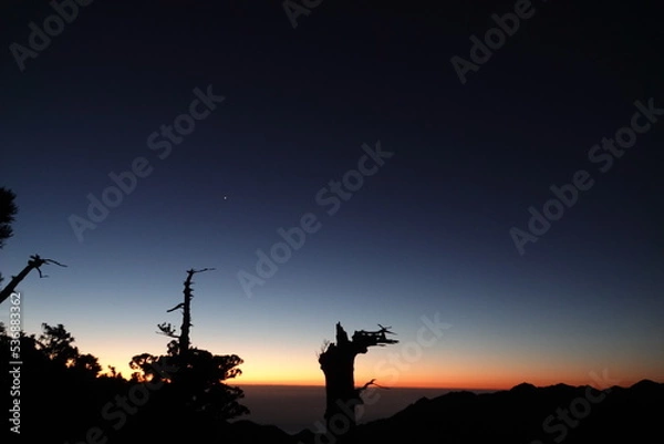 Fototapeta 屋久島の夜明け