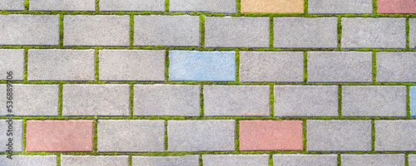 Fototapeta Banner. Cobbles close-up with a green grass in the seams. Cobblestone pavement . Stone tile floor paving. Abstract background texture. Top view