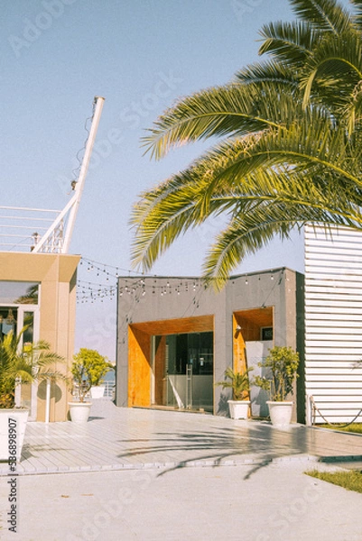 Obraz resort hotel with palms