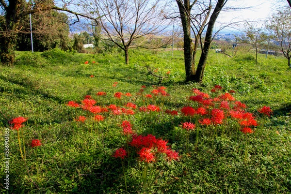 Obraz 願成寺西境之越古墳群