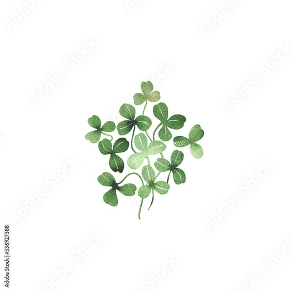 Fototapeta Watercolor clover leaves composition isolated on transparent background