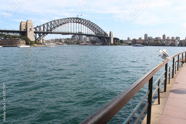 Fototapeta harbour bridge in sydney in australia 