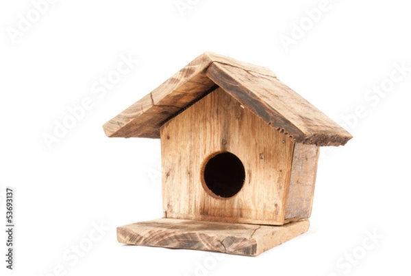 Obraz Bird house