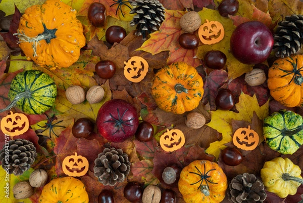 Obraz Small Halloween decorations flat lay composition, with decorative autumn pumpkins, apples, cones, walnuts and chestnuts on fall leaves. 