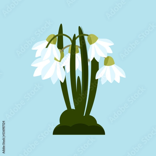 Obraz bluebell flower in early spring