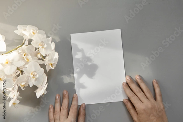 Fototapeta Hands are holding an empty white A5 form on a gray background. Layout top view