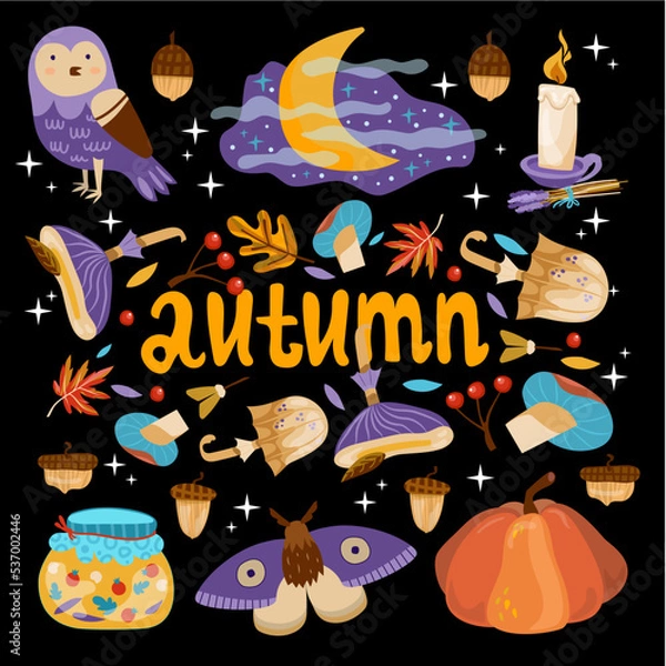 Obraz Autumn vector set with owl, leaves, acorns, moths, mushrooms, moon, night, magic, pumpkin, candle, jam, berry. Vector illustration Autumn joy. Background for fabric, wallpaper, design. 
