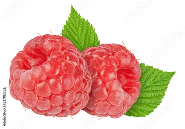 Fototapeta Fresh raspberry with green leaf