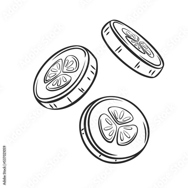 Fototapeta Outline falling cucumber slice vector illustration.