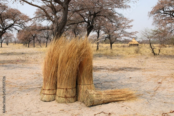 Obraz Ballots de paille pour toit de hutte