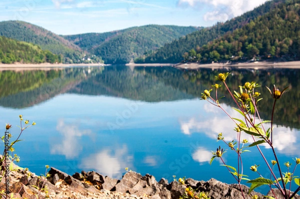 Obraz Hohenwarte-Stausee Preßwitzer Spitze