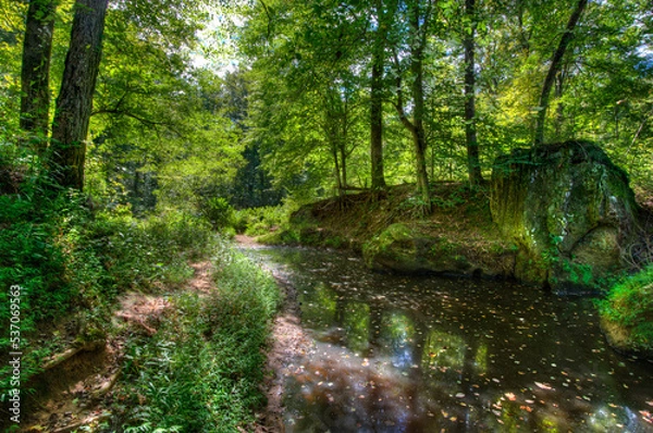 Obraz backwater slough deep in the forest