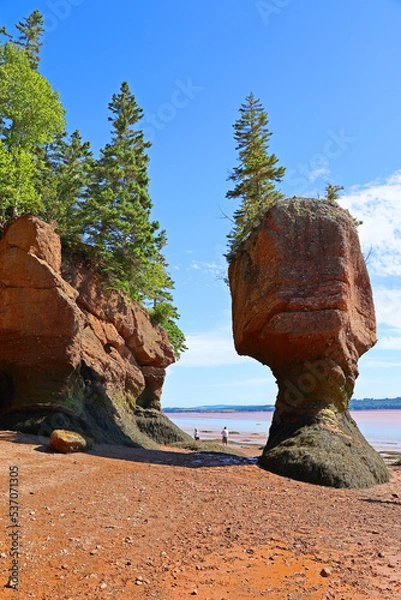Obraz Hopewell Rocks Park in Canada, located on the shores of the Bay of Fundy in the North Atlantic Ocean