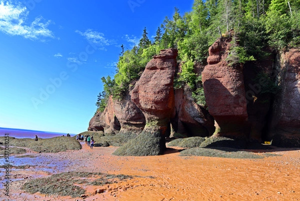 Fototapeta Hopewell Rocks Park in Canada, located on the shores of the Bay of Fundy in the North Atlantic Ocean