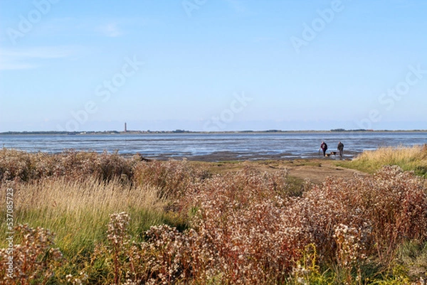 Obraz walking on the beach, wadden sea by Hilgenriedersiel Norddeutschland 