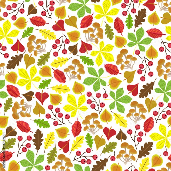 Fototapeta Berries, mushrooms, colourful autumn leaves, white background. Seamless floral pattern, hand drawn, vector.