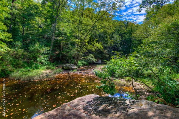 Obraz tranquil forest stream under a blue sky