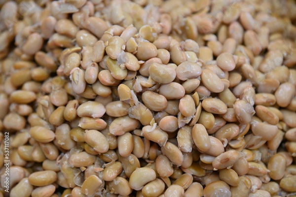 Obraz 味噌づくりのためにたくさんゆでた大豆