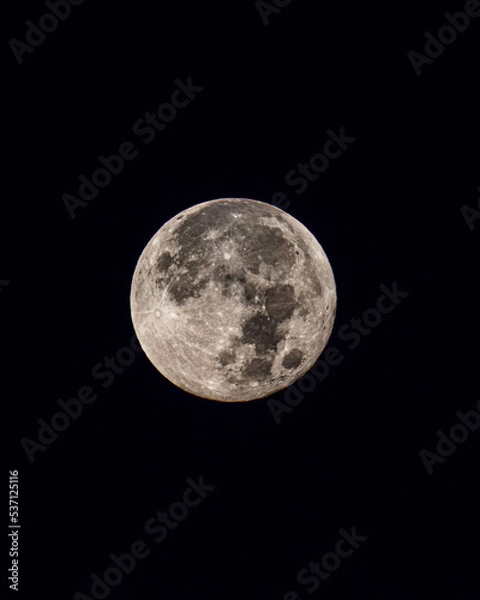 Obraz full moon in the night