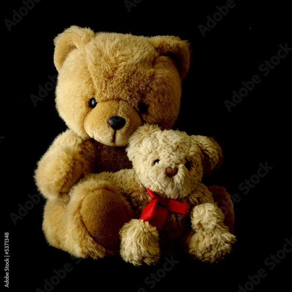 Fototapeta Two Teddy Bears