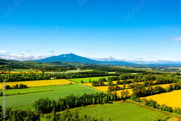 Fototapeta 夏の斜里岳（北海道斜里町）