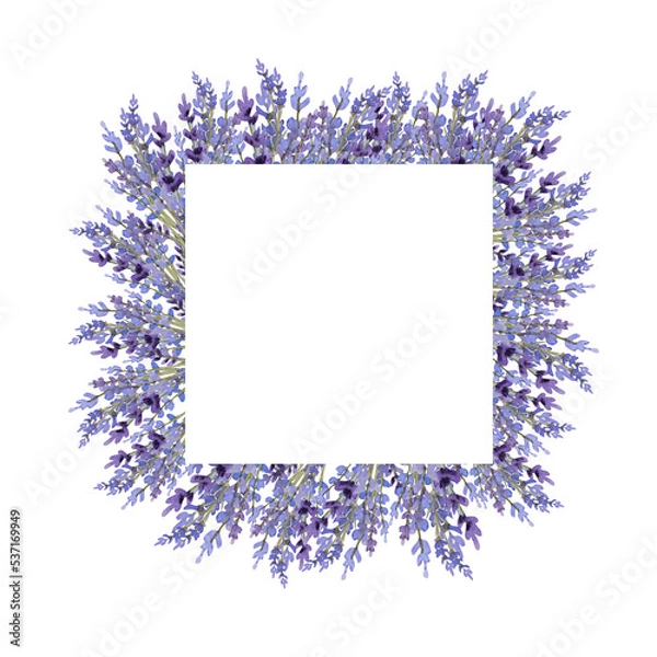 Fototapeta Watercolor lavender illustration for banner and poscard