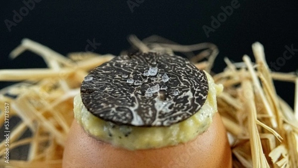 Obraz oeuf et truffe
