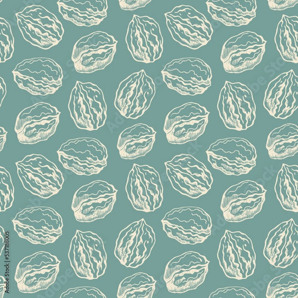 Fototapeta Vector seamless pattern with walnuts on a turquoise background. Vegan food illustration.