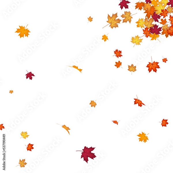 Obraz Autumn Maple Frame