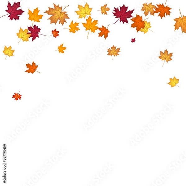 Fototapeta Autumn Maple Frame