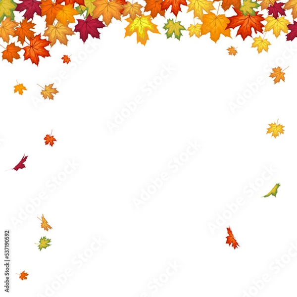 Fototapeta Autumn Maple Frame