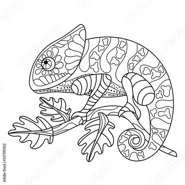Fototapeta Chameleon coloring page for older children isolated on white background. Hand drawn vector illustration